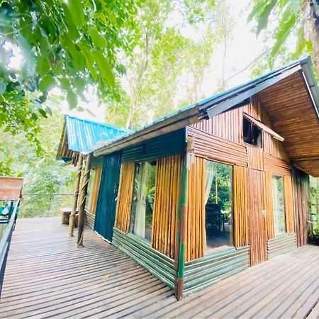 Khao Sok Tree House Resort Khao Sok National Park Eksteriør bilde