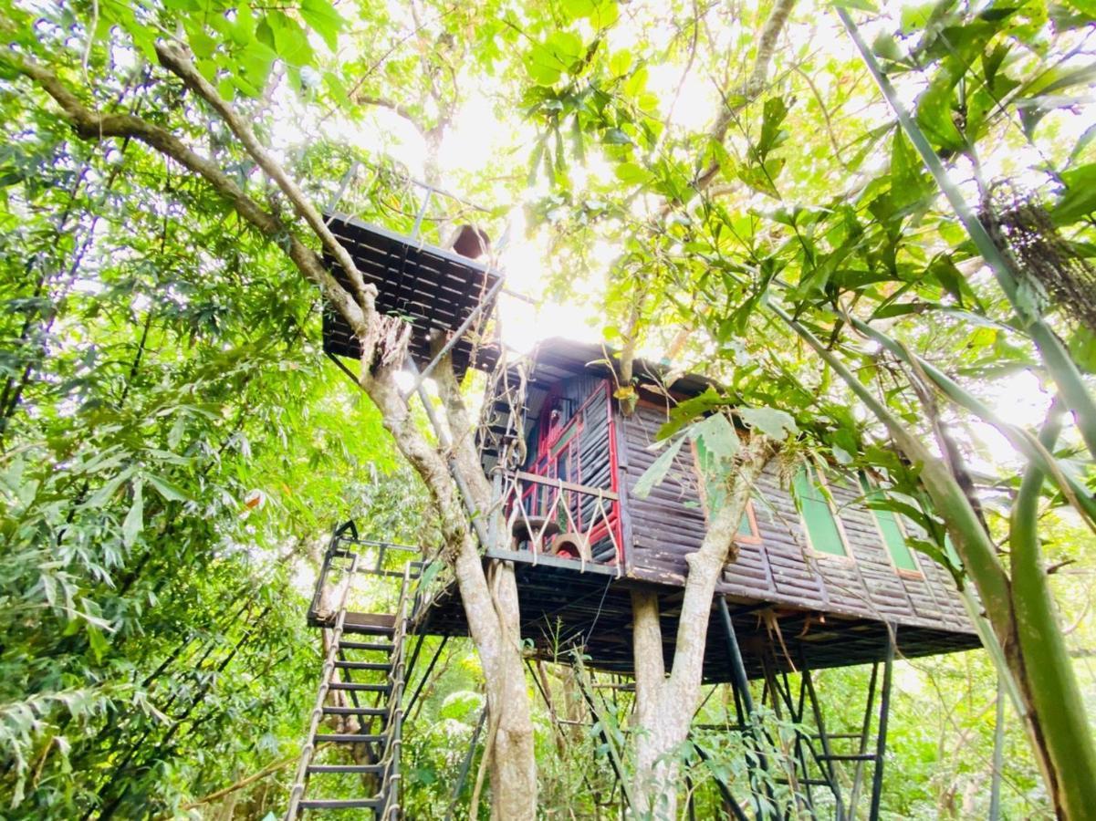 Khao Sok Tree House Resort Khao Sok National Park Eksteriør bilde