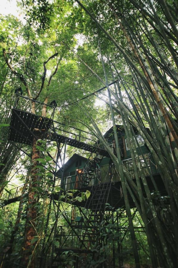 Khao Sok Tree House Resort Khao Sok National Park Eksteriør bilde