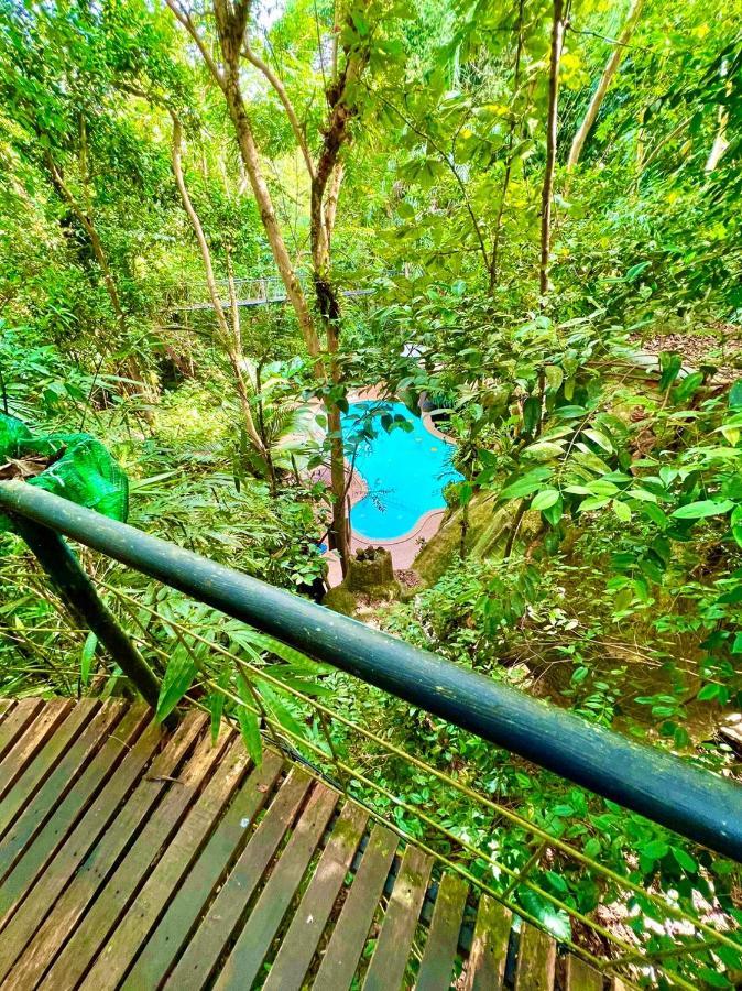 Khao Sok Tree House Resort Khao Sok National Park Eksteriør bilde
