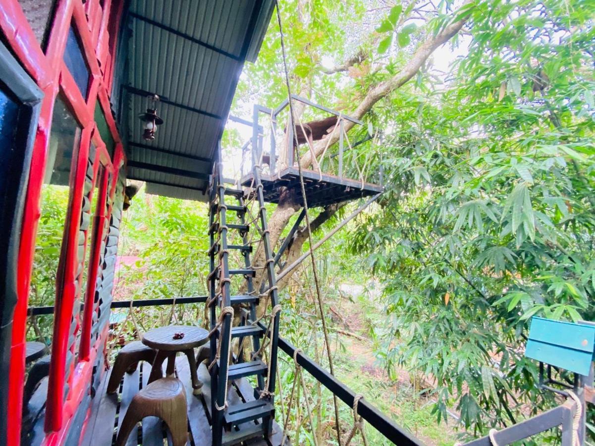 Khao Sok Tree House Resort Khao Sok National Park Eksteriør bilde