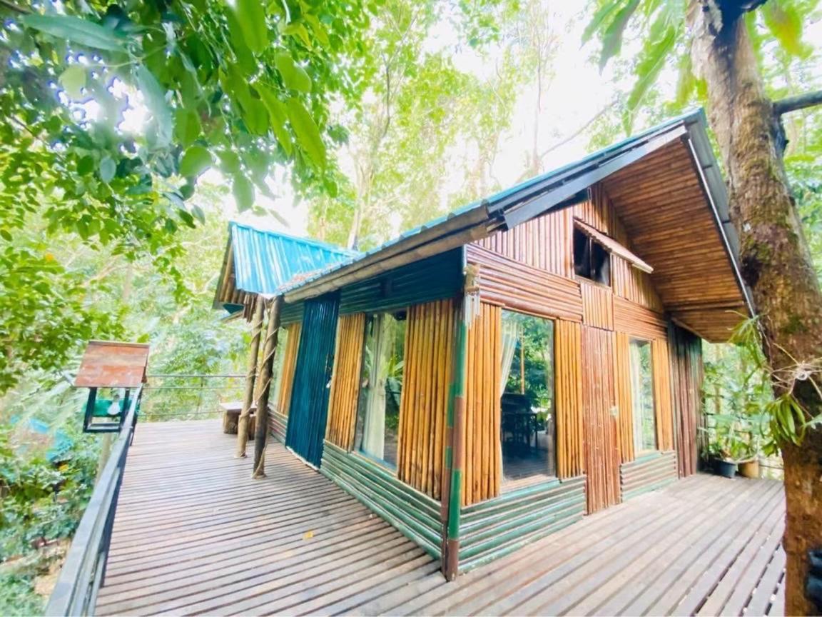 Khao Sok Tree House Resort Khao Sok National Park Eksteriør bilde