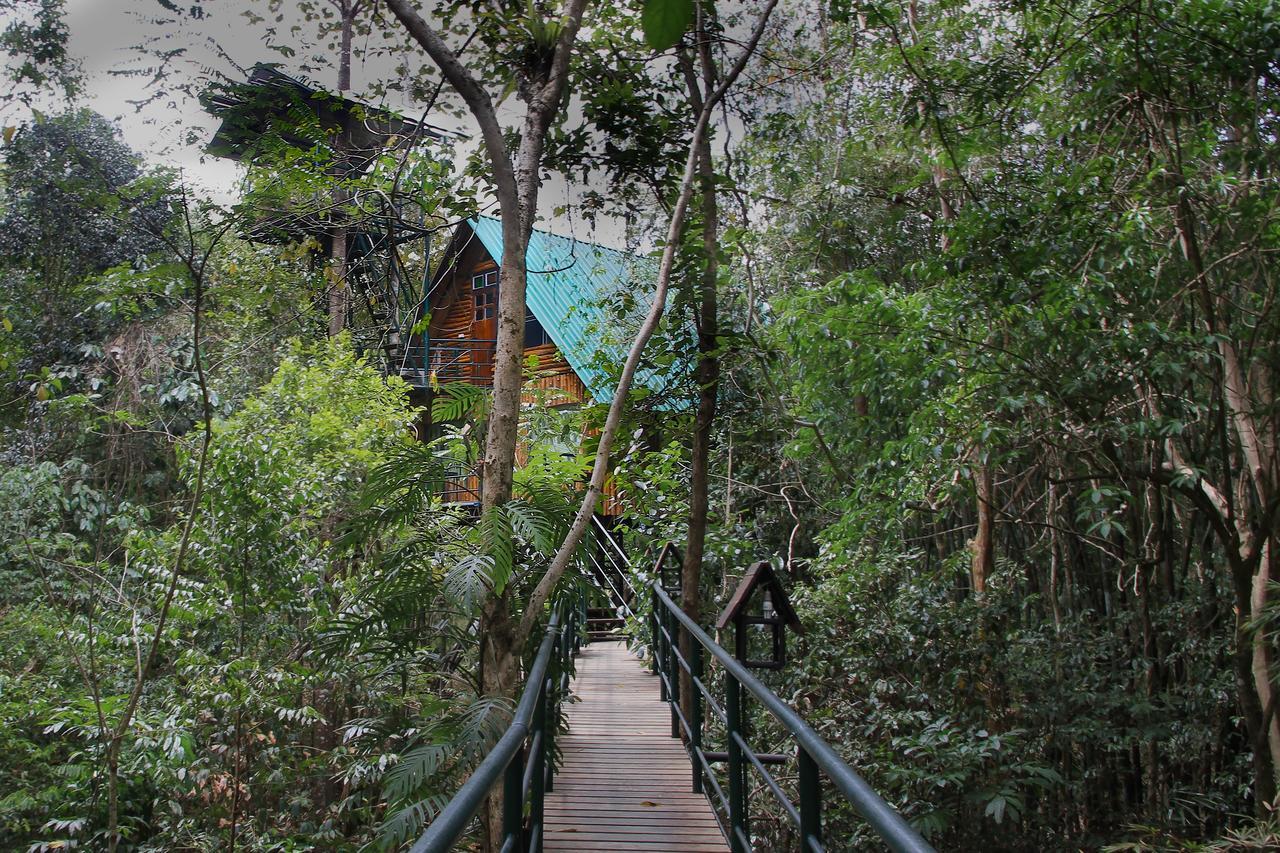 Khao Sok Tree House Resort Khao Sok National Park Eksteriør bilde