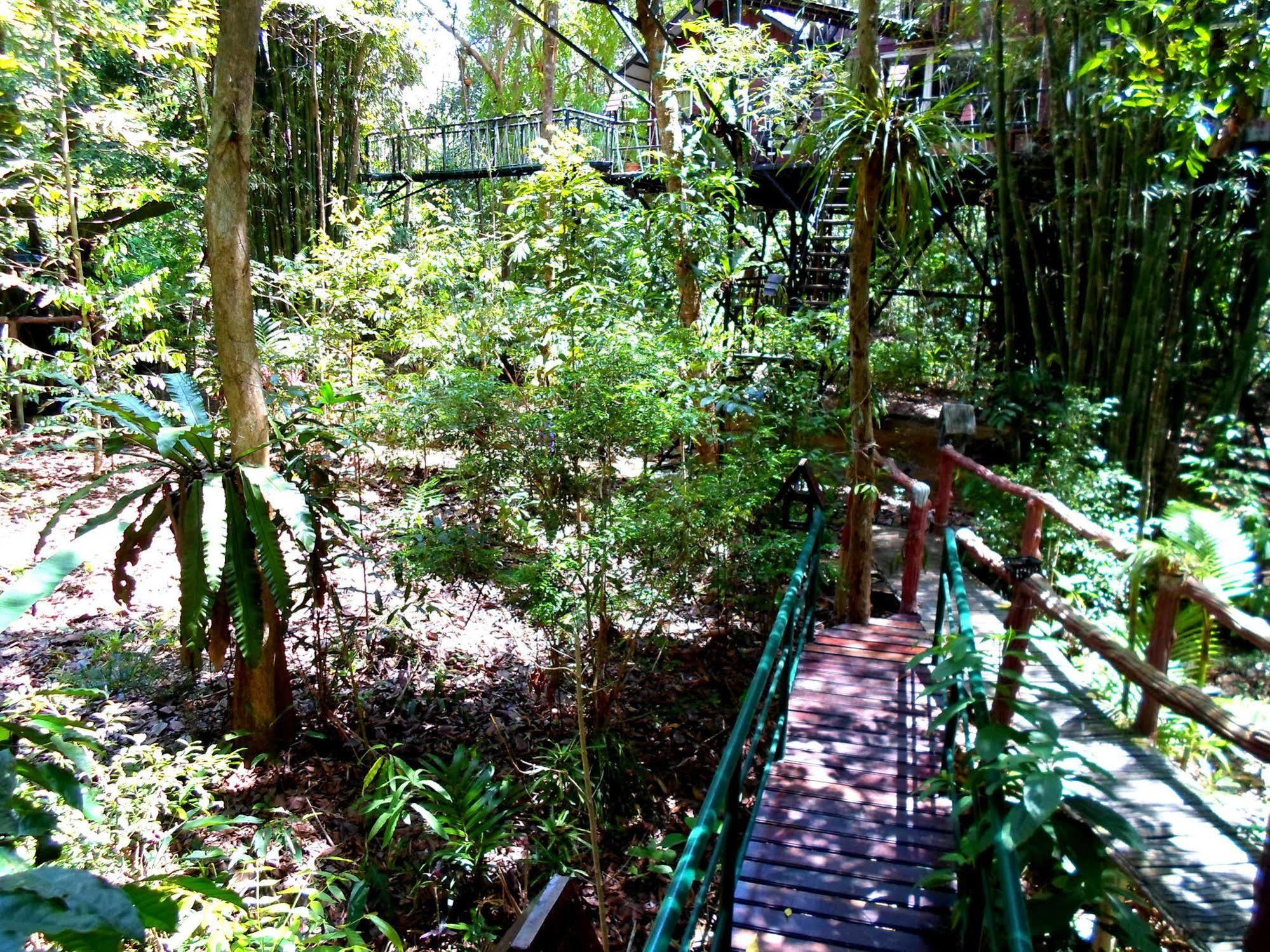 Khao Sok Tree House Resort Khao Sok National Park Eksteriør bilde