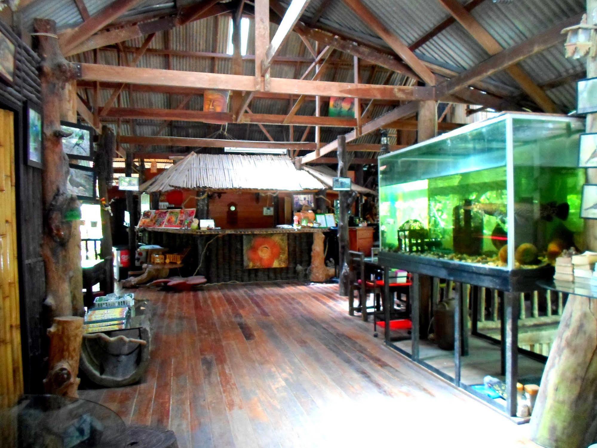 Khao Sok Tree House Resort Khao Sok National Park Eksteriør bilde