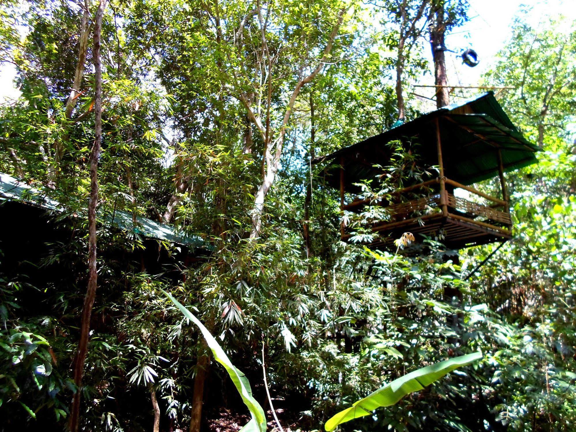 Khao Sok Tree House Resort Khao Sok National Park Eksteriør bilde