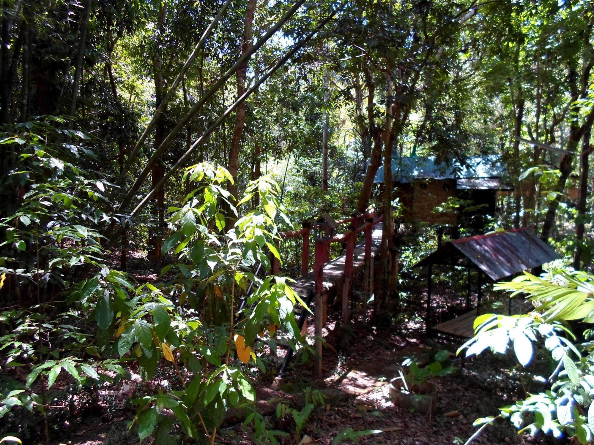 Khao Sok Tree House Resort Khao Sok National Park Eksteriør bilde