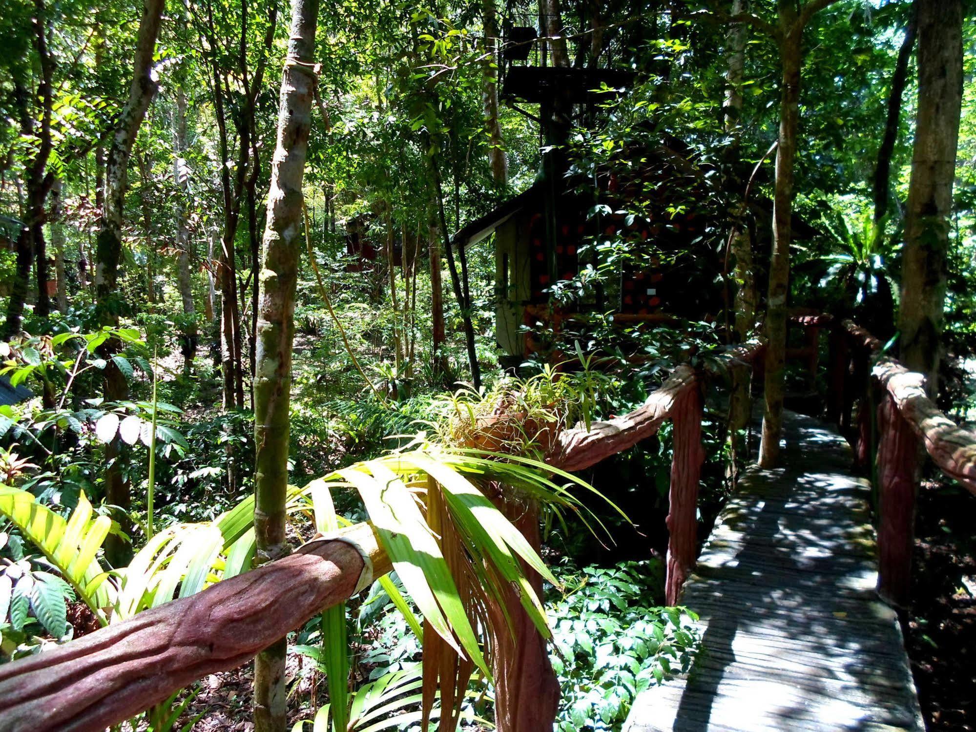 Khao Sok Tree House Resort Khao Sok National Park Eksteriør bilde
