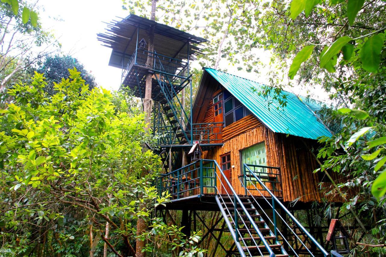 Khao Sok Tree House Resort Khao Sok National Park Eksteriør bilde