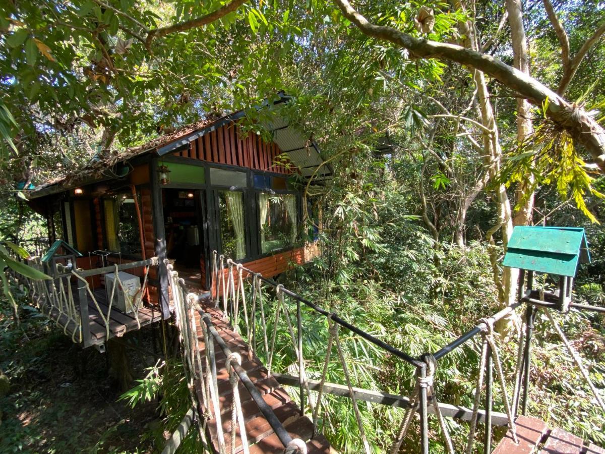 Khao Sok Tree House Resort Khao Sok National Park Eksteriør bilde